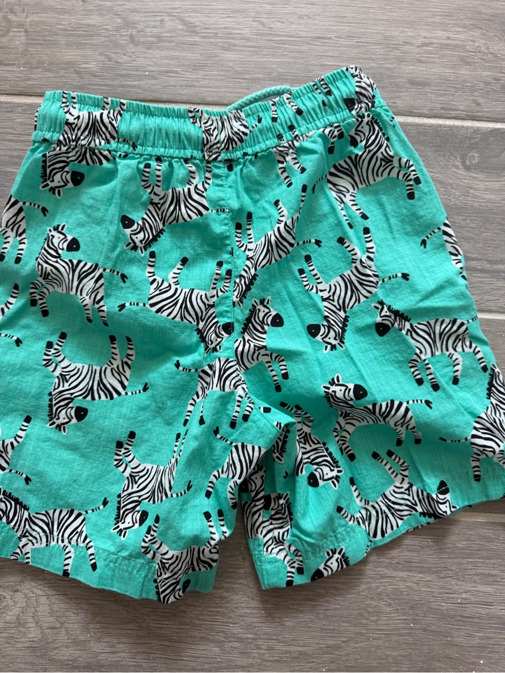 Hanna Andersson Turquoise Zebra Print Shorts